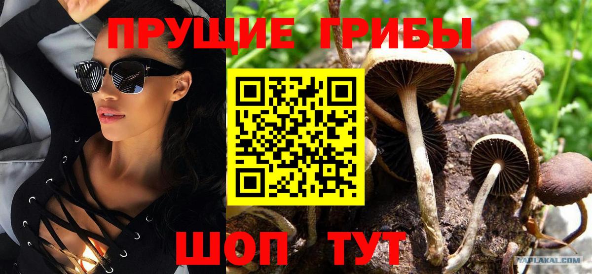 Псилоцибиновые грибы Magic Shrooms Гуково